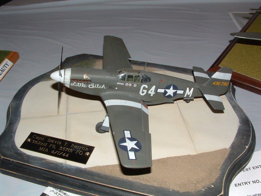 p51b.jpg