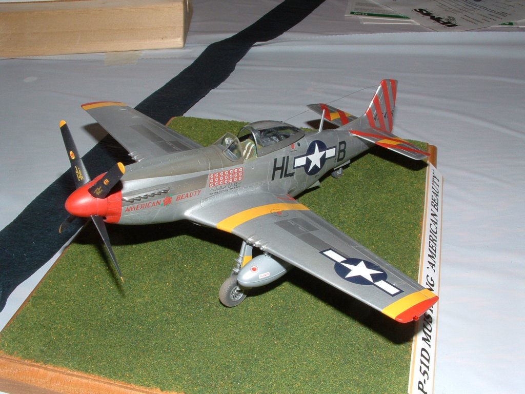 p51d.jpg