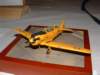 t6gtexan_small.jpg