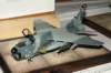 dsc_0030_small.jpg