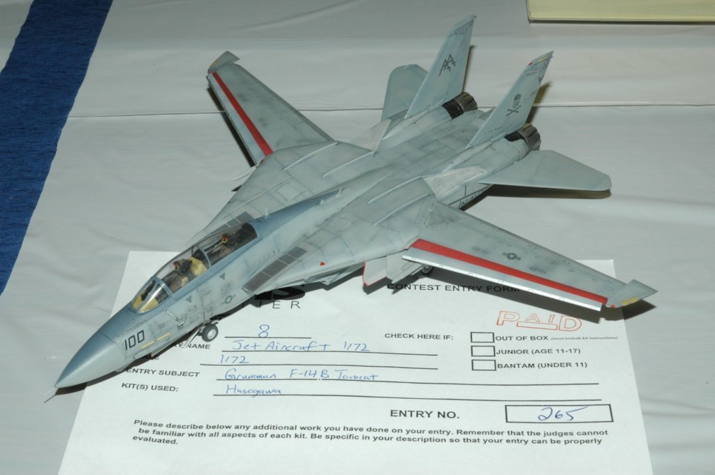 f14btomcat.jpg