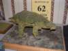 dscf0094_small.jpg