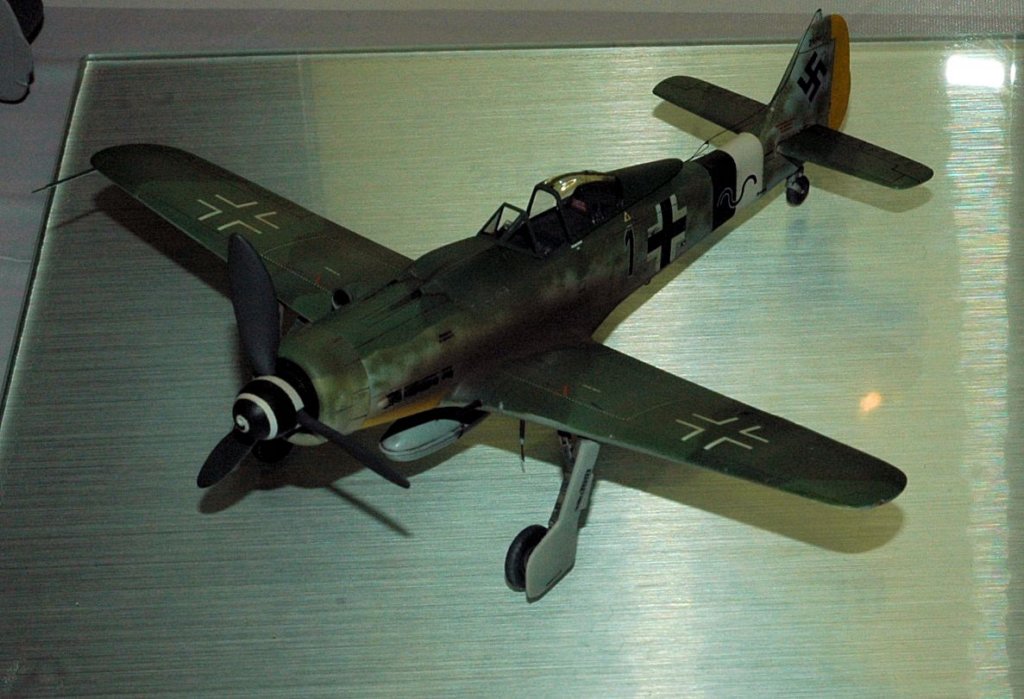 fw190d9.jpg