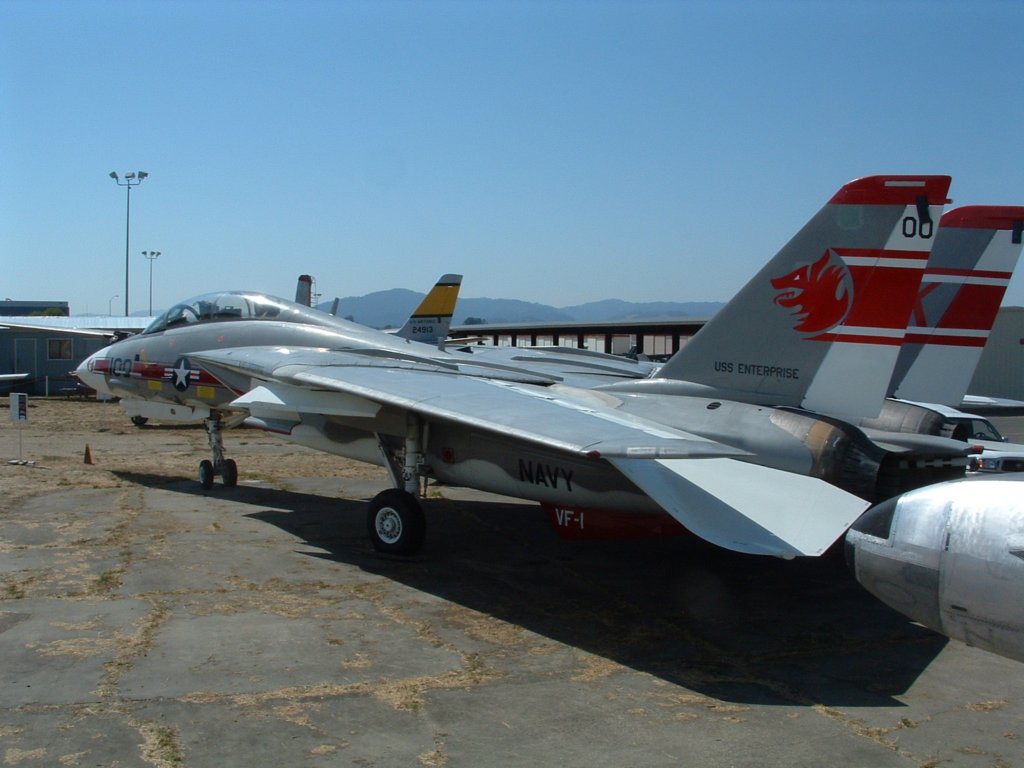 f14.jpg