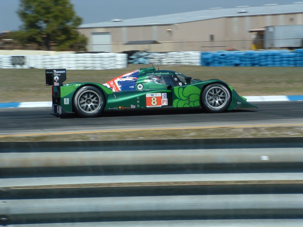 draysonracinglolajuddp1.jpg